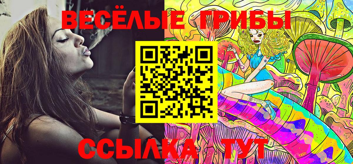 Галлюциногенные грибы Cubensis Красноярск